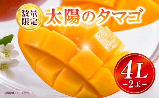 《2026年発送先行予約》【数量・期間限定】太陽のタマゴ 4Lサイズ 2玉_M354-001-03