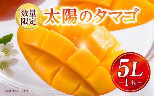 《2026年発送先行予約》【数量・期間限定】太陽のタマゴ 5Lサイズ 1玉_M354-001-04