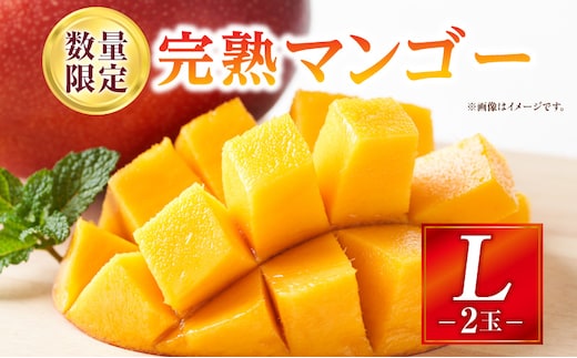 《2026年発送先行予約》【数量・期間限定】完熟マンゴー Lサイズ 2玉_M354-002-01
