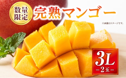 《2026年発送先行予約》【数量・期間限定】完熟マンゴー 3Lサイズ 2玉_M354-002-03
