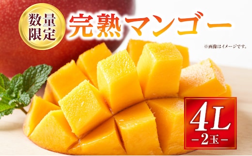 《2026年発送先行予約》【数量・期間限定】完熟マンゴー 4Lサイズ 2玉_M354-002-04