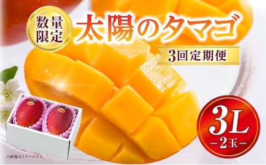 《2026年発送先行予約》【数量・期間限定】3回定期便 3L2玉太陽のタマゴコース_M354-T003