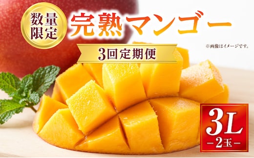 《2026年発送先行予約》【数量・期間限定】3回定期便 3L2玉完熟マンゴーコース_M354-T004