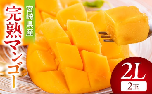 《2026年発送先行予約》【数量・期間限定】宮崎県産完熟マンゴー2L(2玉)_M359-002-02