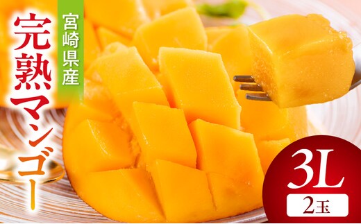 《2026年発送先行予約》【数量・期間限定】宮崎県産完熟マンゴー3L(2玉)_M359-003-02