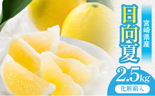 《2026年発送》【数量・期間限定】宮崎県産日向夏2.5kg 化粧箱入り_M359-005