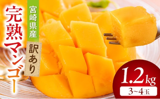 《2026年発送先行予約》【数量・期間限定】宮崎県産訳あり完熟マンゴー1.2kg(3～4玉)_M359-006