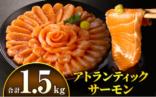 アトランティックサーモン 1.5kg_M372-002-04