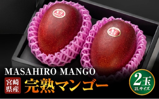 《2026年発送先行予約》【数量・期間限定】【農家直送】MASAHIRO MANGO 宮崎県産完熟マンゴー 2Lサイズ×2玉_M380-001-01