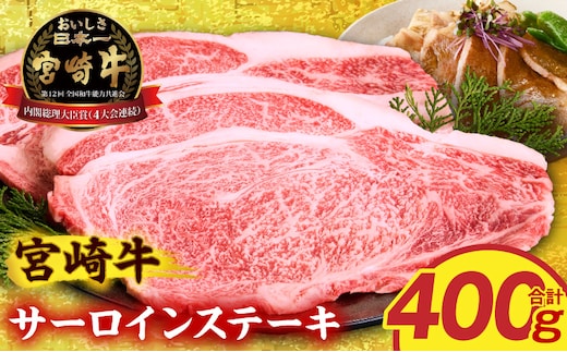 宮崎牛サーロインステーキ2枚 合計400g_M389-007-01
