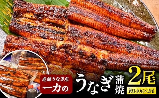 一力のうなぎ蒲焼 約140g×2尾_M391-001