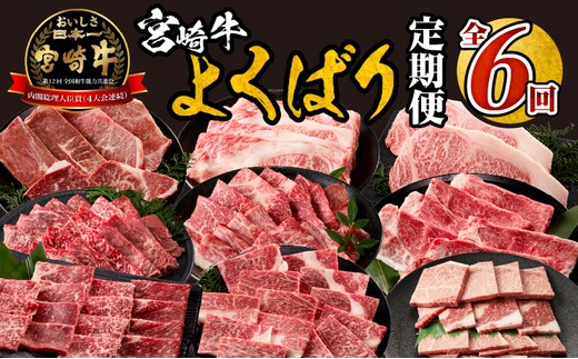 宮崎牛よくばり定期便全6回_M399-T001-6-1