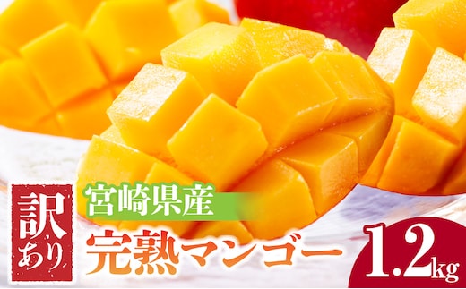 《2026年発送先行予約》【数量・期間限定】宮崎県産 訳あり完熟マンゴー 1.2kg_M320-005