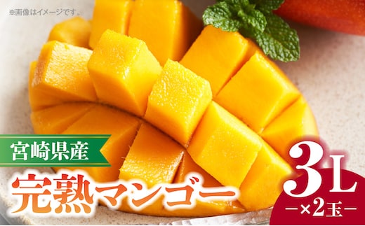 《2026年発送先行予約》【数量・期間限定】宮崎県産完熟マンゴー 3L×2玉_M320-006