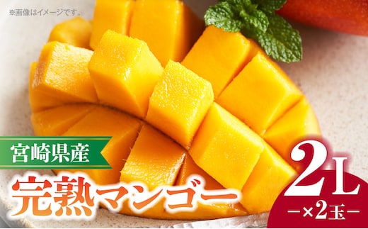 《2026年発送先行予約》【数量・期間限定】宮崎県産完熟マンゴー 2L×2玉_M320-007