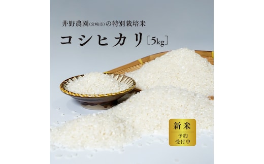 《令和8年度産 先行予約》【数量・期間限定】 井野農園のコシヒカリ_M322-011