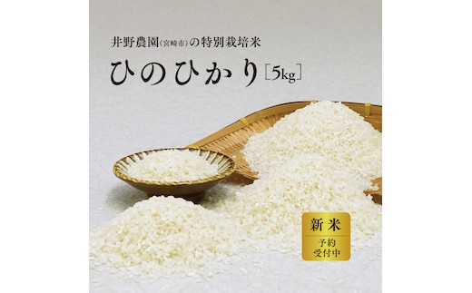 《令和8年度産 先行予約》【数量・期間限定】井野農園のひのひかり_M322-012
