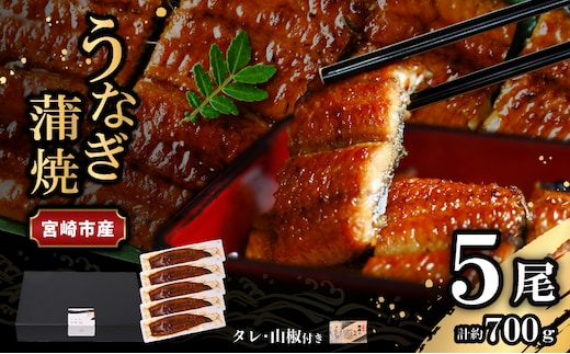 宮崎県宮崎市産 うなぎの蒲焼 約700g（約140g×5尾）タレ・山椒セット_M325-004
