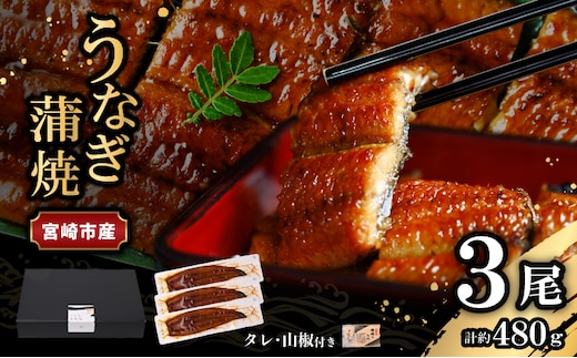 宮崎県宮崎市産 うなぎの蒲焼 約480g（約160g×3尾）タレ・山椒セット_M325-007