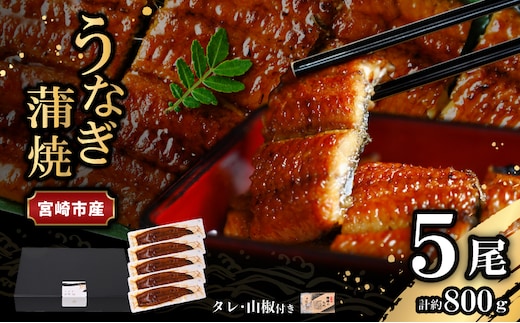宮崎県宮崎市産 うなぎの蒲焼 約800g（約160g×5尾）タレ・山椒セット_M325-008
