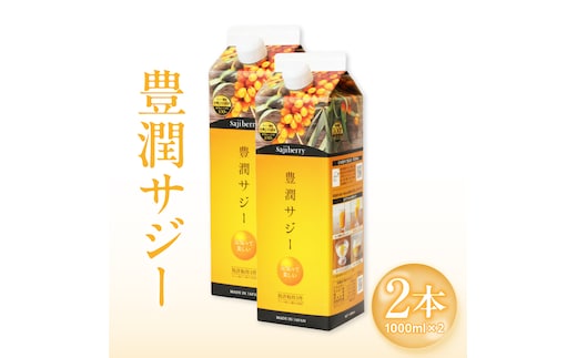 豊潤サジー 1000ml×2本セット サジージュース【紙パックタイプ】_M327-002