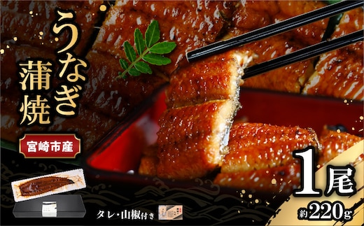 宮崎県宮崎市産 うなぎの蒲焼 約220g（約220g×1尾）タレ・山椒セット_M325-009