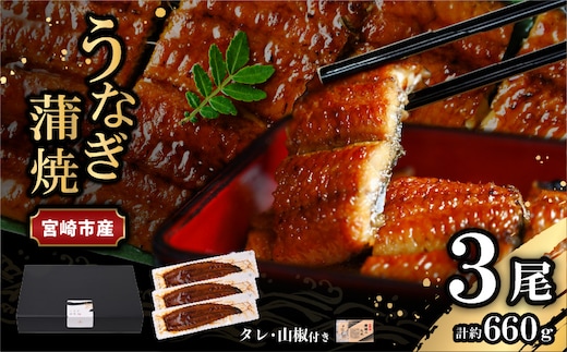 宮崎県宮崎市産 うなぎの蒲焼 約660g（約220g×3尾）タレ・山椒セット_M325-011