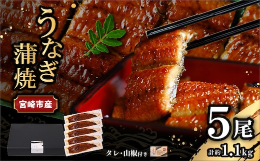 宮崎県宮崎市産 うなぎの蒲焼 約1.1kg（約220g×5尾）タレ・山椒セット_M325-012