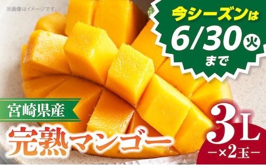 《2026年発送》【数量・期間限定】宮崎県産完熟マンゴー 3L×2玉_M320-006