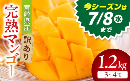 《2026年発送》【数量・期間限定】宮崎県産訳あり完熟マンゴー1.2kg(3～4玉)_M359-006