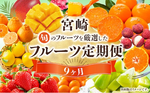 【数量・期間限定】旬のフルーツ9ヶ月定期便vol.1_M348-T008