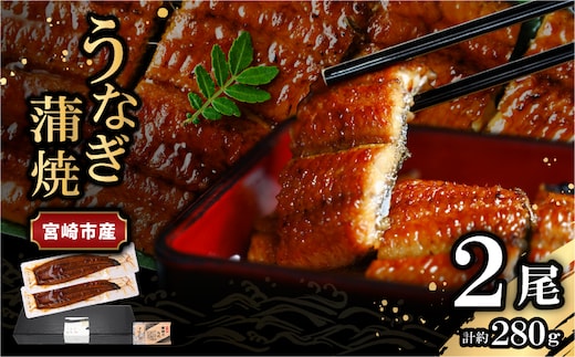 宮崎県宮崎市産 うなぎの蒲焼 約280g(約140g×2尾) タレ・山椒セット_M325-002