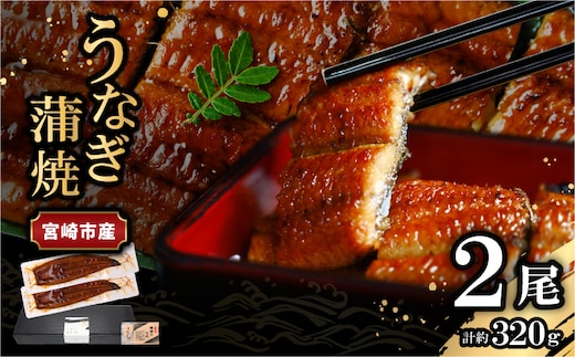 宮崎県宮崎市産 うなぎの蒲焼 約320g(約160g×2尾) タレ・山椒セット_M325-006