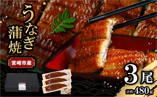宮崎県宮崎市産 うなぎの蒲焼 約480g(約160g×3尾) タレ・山椒セット_M325-007