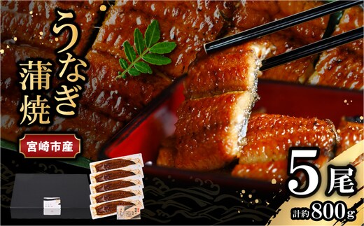 宮崎県宮崎市産 うなぎの蒲焼 約800g(約160g×5尾) タレ・山椒セット_M325-008