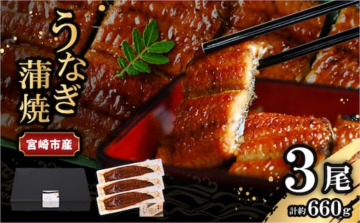 宮崎県宮崎市産 うなぎの蒲焼 約660g(約220g×3尾) タレ・山椒セット_M325-011