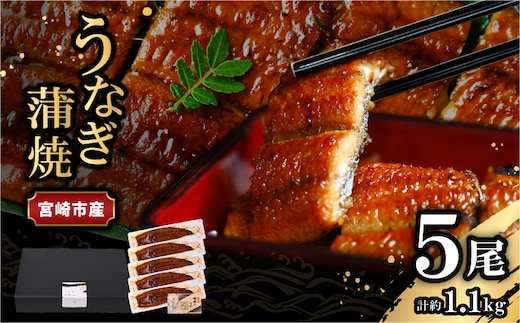 宮崎県宮崎市産 うなぎの蒲焼 約1.1kg(約220g×5尾) タレ・山椒セット_M325-012