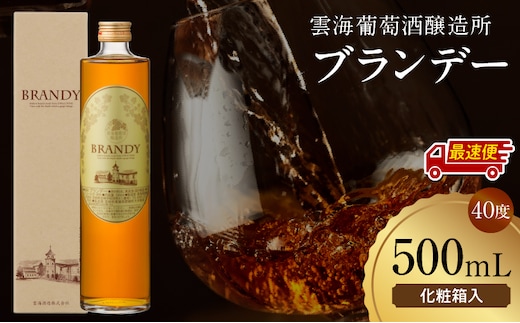 【最速便】雲海葡萄酒醸造所 ブランデー 500ml_M375-005-01-2W