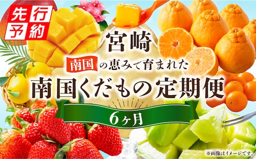 《2026年発送先行予約》南国くだもの6ヶ月定期便_M348-T003