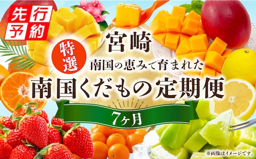 《2026年発送先行予約》特選南国くだもの7ヶ月定期便_M348-T006