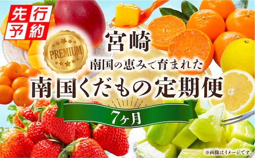 《2026年発送先行予約》プレミアム南国くだもの7ヶ月定期便_M348-T007