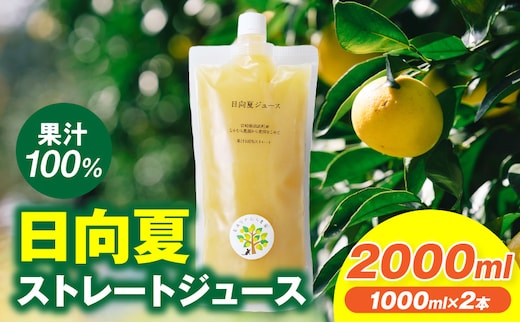 日向夏ストレートジュース100％(1000ml×2本セット)_M403-001-01