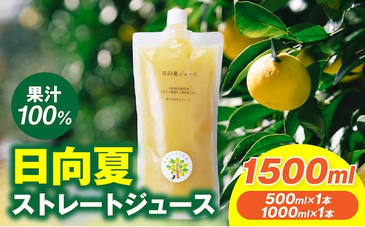 日向夏ストレートジュース100％(500ml×1本、1000ml×1本セット)_M403-001-02