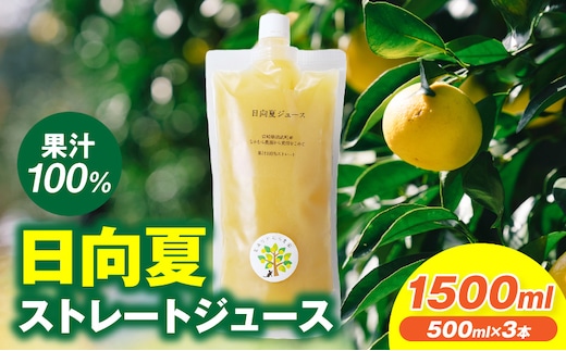 日向夏ストレートジュース100％(500ml×3本セット)_M403-001-03