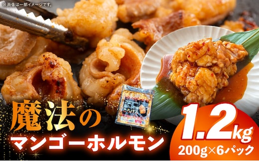 魔法のマンゴーホルモン 1.2kg(200g×6パック)_M407-001