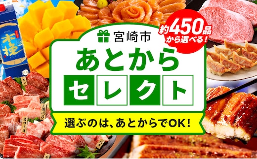 あとからセレクト【ふるさとギフト】1万円_MG-001