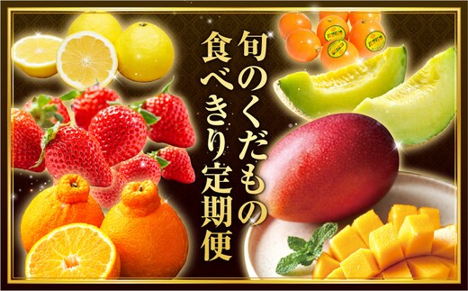 《2026年発送先行予約》【数量・期間限定】旬のくだもの食べきり定期便_M153-T039