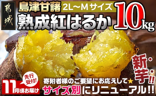先行受付!【11月お届け】島津甘藷 熟成紅はるか 10kg(2L～M)_12-A7-001-10kg-11