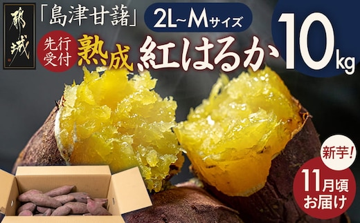 先行受付!【11月お届け】島津甘藷 熟成紅はるか 10kg(2L～M)_12-A7-001-10kg-11