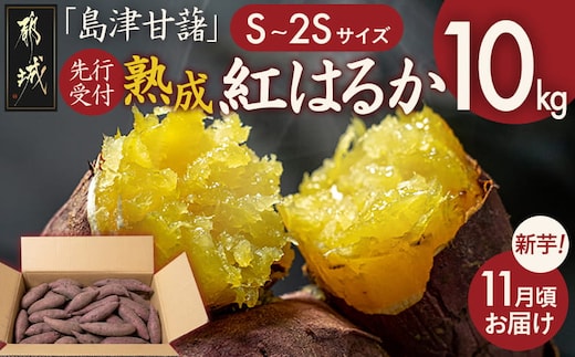 先行受付!【11月お届け】島津甘藷 熟成紅はるか 10kg(S～2S)_12-A7-001-10kg-m-11